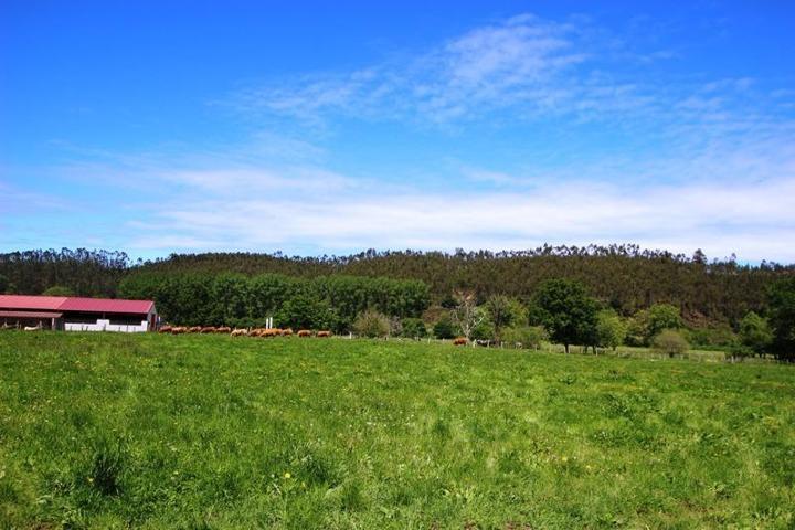 Terreno en venta en Cabezón de la Sal, Villanueva de la peña photo 0