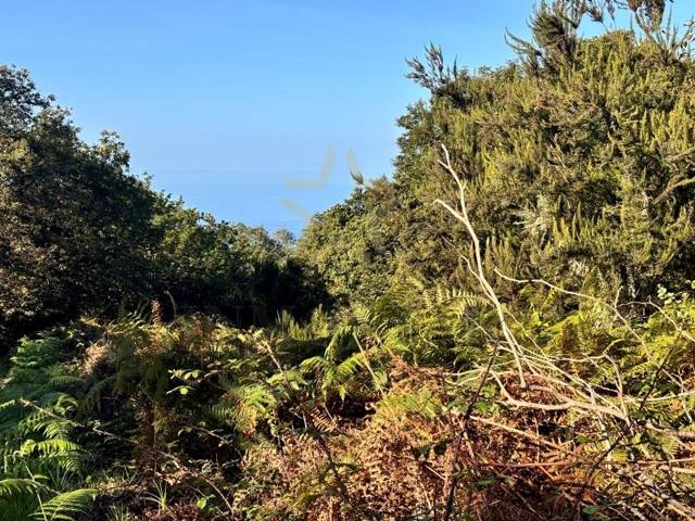 Terreno en venta en La Orotava photo 0