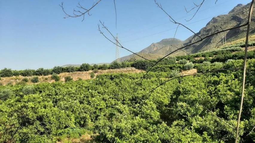 Terreno en venta en Illar, Illar photo 0