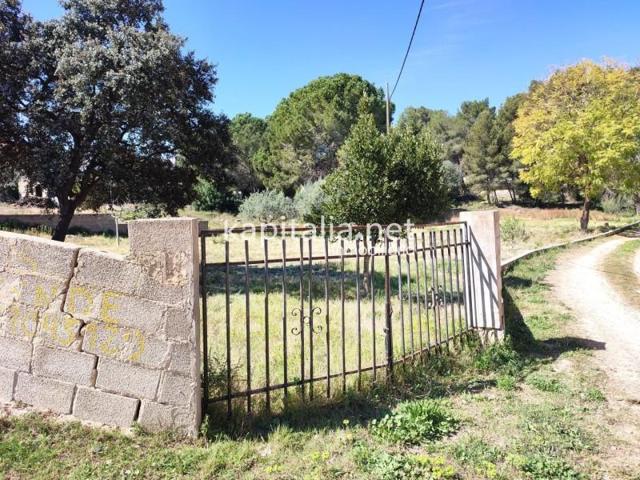 Terreno en venta en L'Alcudia de Crespins, Partida franquet photo 0