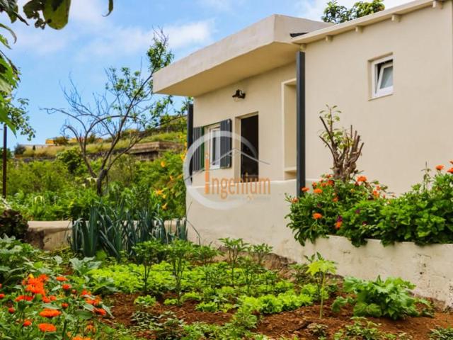 Terreno en venta en La Orotava photo 0