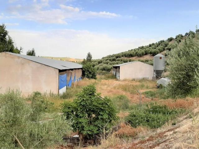 Chalet en venta en Chilluévar, Chilluevar photo 0