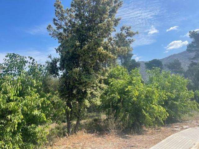 Terreno en venta en La Torre de Claramunt, CAL ANTON photo 0