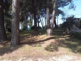 Terreno en venta en Abrera, Ca n`amat photo 0