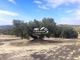Terreno en venta en Aguilar de la Frontera, Calle Partido Castillo Anzur y Barranqu…, 14920 photo 0