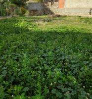 Terreno en venta en Moratalla photo 0