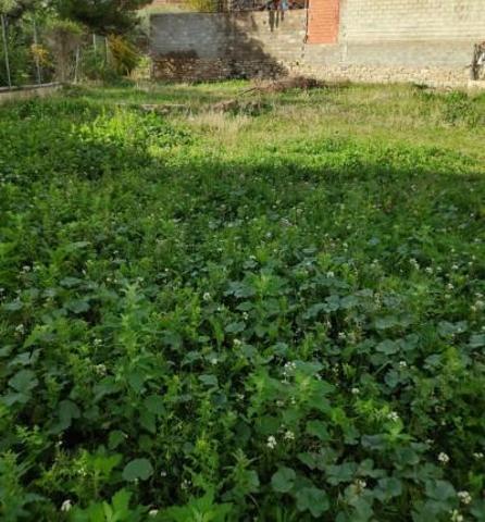 Terreno en venta en Moratalla photo 0