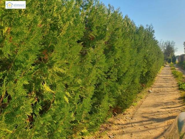 Chalet en venta en Aznalcázar, Área de Aznalcázar photo 0