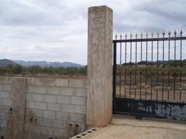 Terreno en venta en Aspe, La ofra photo 0