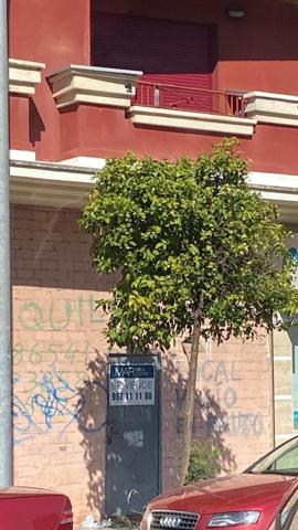 Local comercial en venta en Córdoba, Arroyo del Moro photo 0