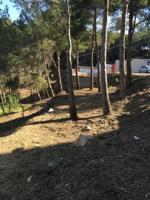 Terreno en venta en Torrent, Santa apolonia photo 0