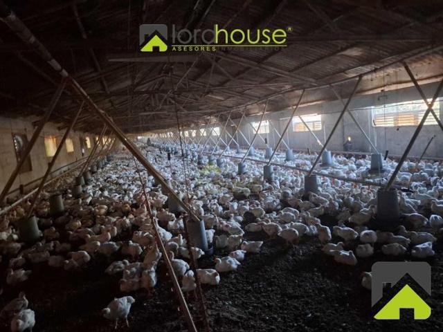 Nave industrial en venta en Lorca photo 0