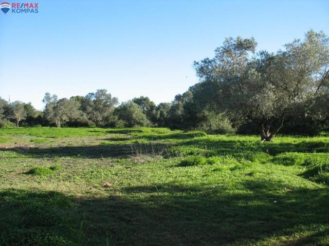 Terreno en venta en Chiclana de la Frontera, Las Lagunas - Campano photo 0