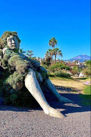 Local comercial en venta en Santa Úrsula, Carretera Provincial, 38390 photo 0