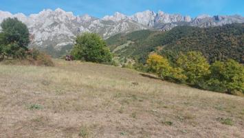 Terreno en venta en Camaleño, Carmaleño photo 0