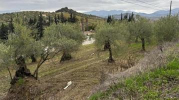 Terreno en venta en Alozaina, Costa del Sol photo 0