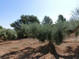 Chalet en venta en Alcanar, Alcanar playa photo 0