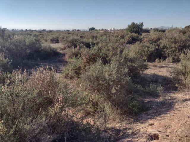 Terreno en venta en Elche, Llano de san jose photo 0