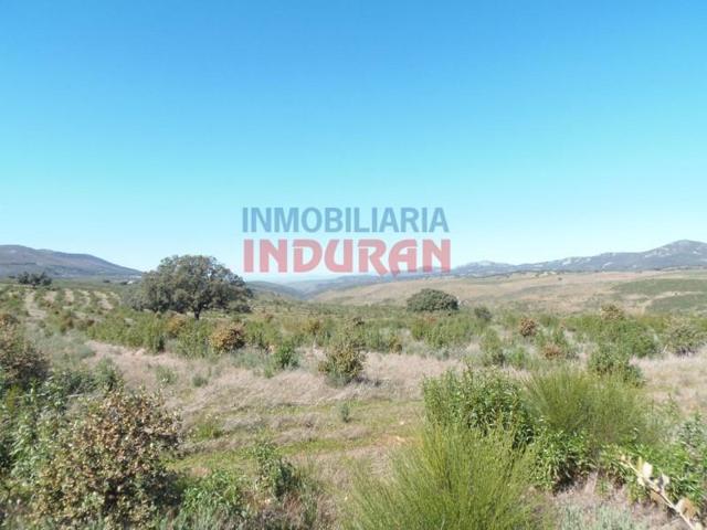 Chalet en venta en Fresnedoso de Ibor photo 0