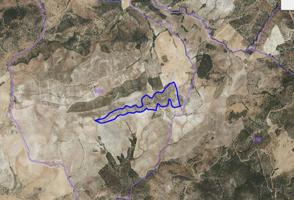 Chalet en venta en Morón de la Frontera, Moron De la Frontera photo 0