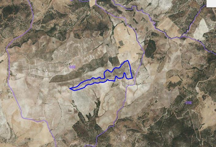 Chalet en venta en Morón de la Frontera, Moron De la Frontera photo 0