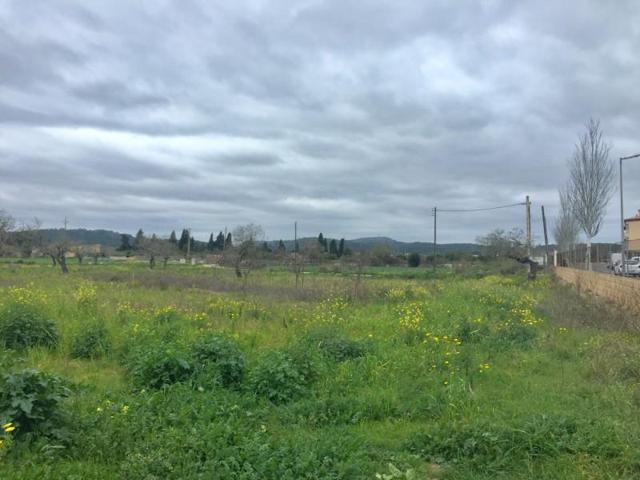 Terreno en venta en Porreres, A las afueras photo 0