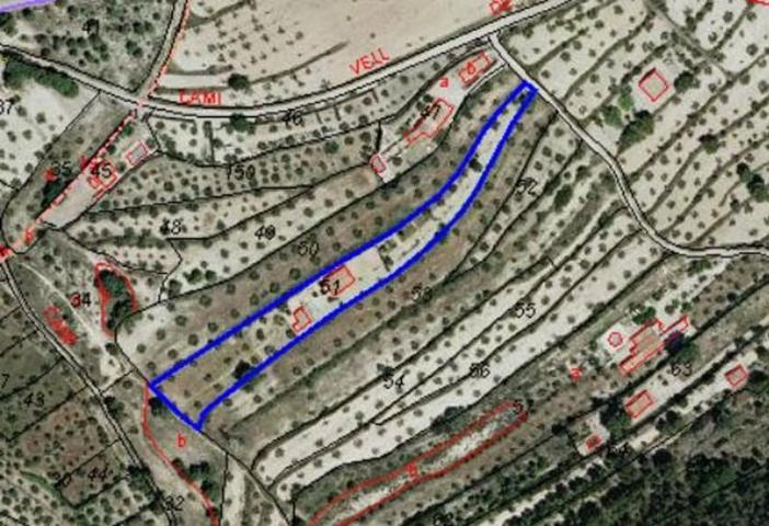 Casa con terreno en venta en Biar, Alt Vinalopó photo 0