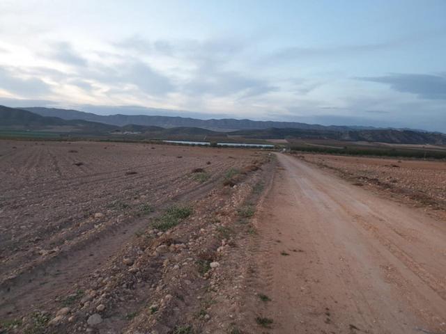 Terreno en venta en Jumilla photo 0