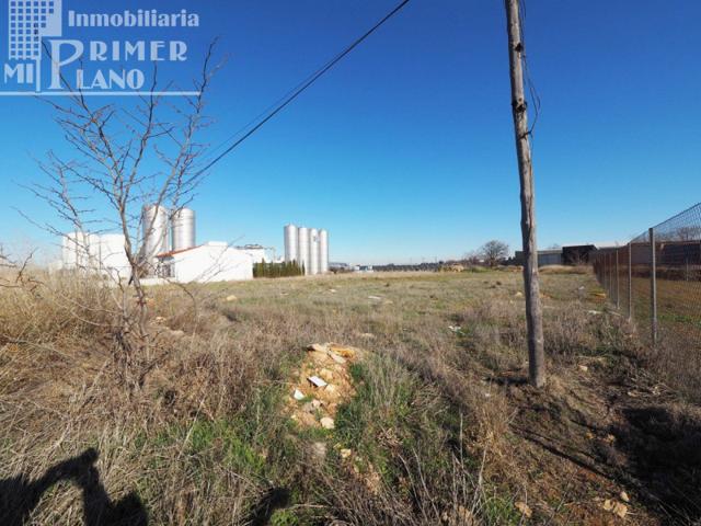 Terreno en venta en Tomelloso, Ctra. argamasilla de alba photo 0