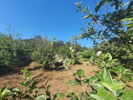 Terreno en venta en Gondomar, Mañufe, 36388 photo 0