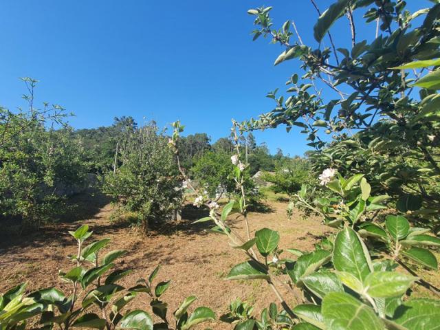 Terreno en venta en Gondomar, Mañufe, 36388 photo 0