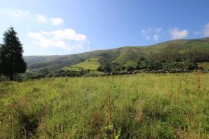 Terreno en venta en Valdáliga, San Vicente del Monte photo 0