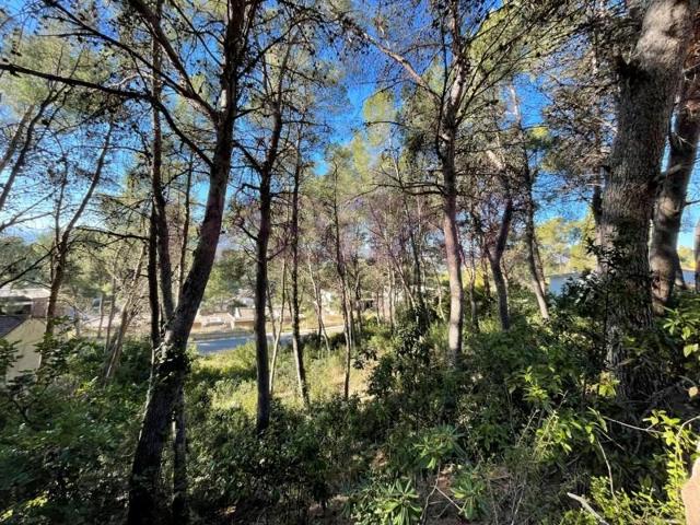 Terreno en venta en Chiva photo 0