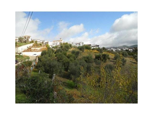 Casa con terreno en venta en Ronda photo 0