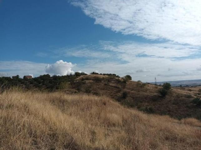 Terreno en venta en El Molar, El Molar photo 0