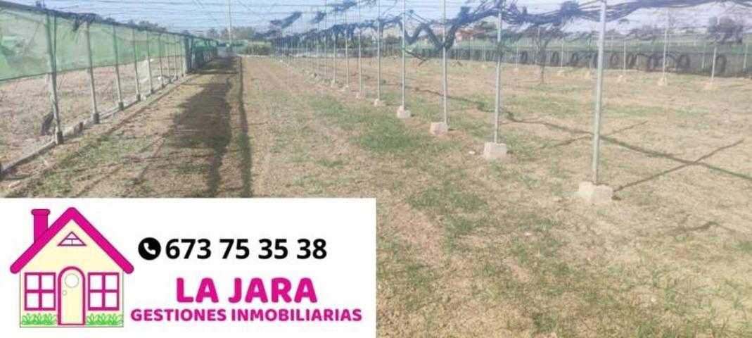 Terreno en venta en Chipiona, Cercado de Regla, 11550 photo 0