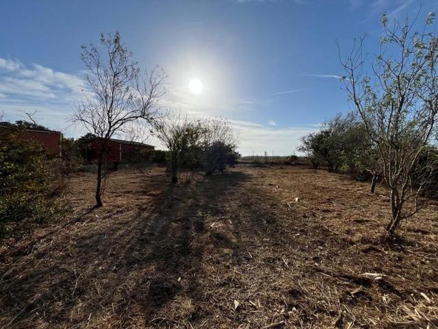 Terreno en venta en Chiclana de la Frontera, Pelagatos - Pago del Humo photo 0