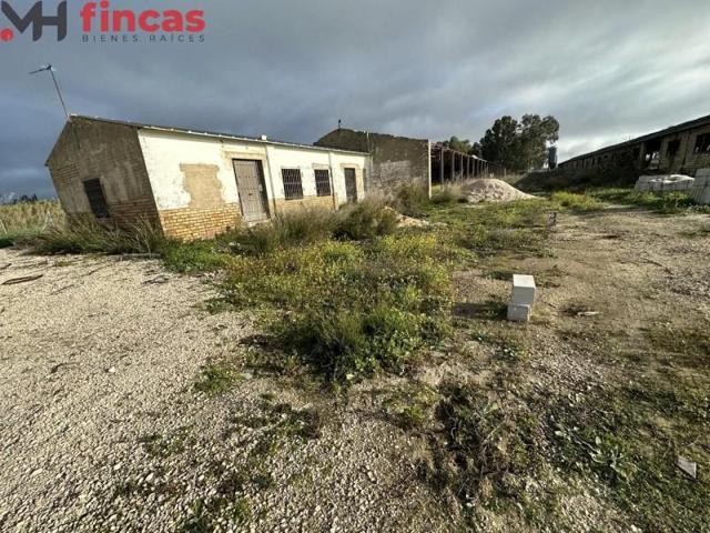 Terreno en venta en Arahal, Campiña de Morón y Marchena photo 0
