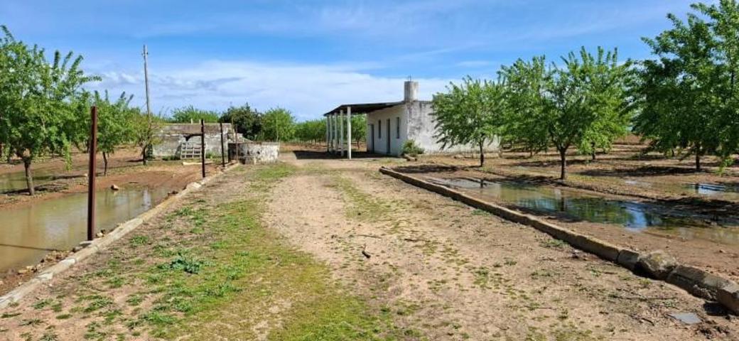 Terreno en venta en Utrera, Vía Marciala photo 0