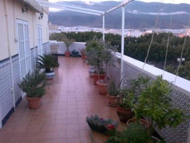 Aticos en venta en El Ejido, Centro ejido photo 0