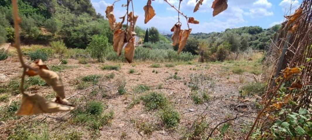 Terreno en venta en Castellar del Vallès, Dona acollidora photo 0
