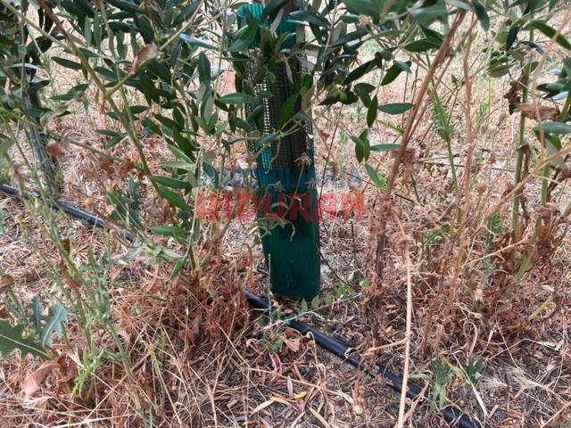 Chalet en venta en Navalmoral de la Mata photo 0