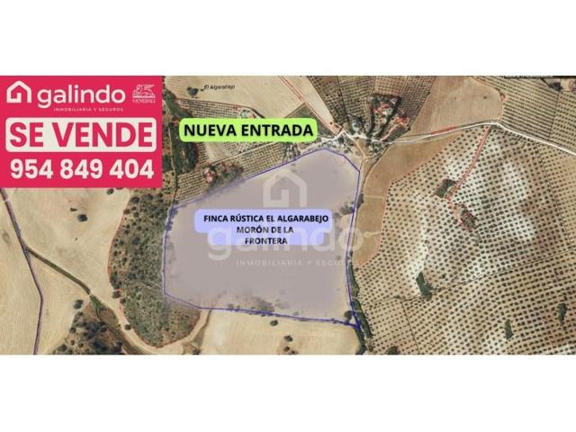 Chalet en venta en Morón de la Frontera photo 0