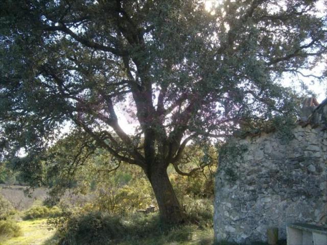 Terreno en venta en Riba-roja de Túria, Riba-roja de Túria photo 0