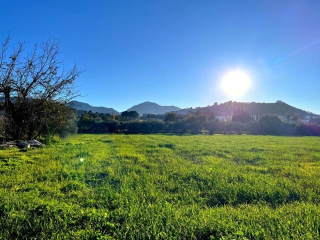 Casa con terreno en venta en Antequera, Zona de la Vega photo 0