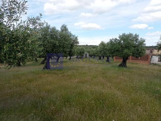 Casa con terreno en venta en Alcántara photo 0
