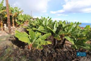 Terreno en venta en Villa de Mazo, San Simón, 0, 38738 photo 0