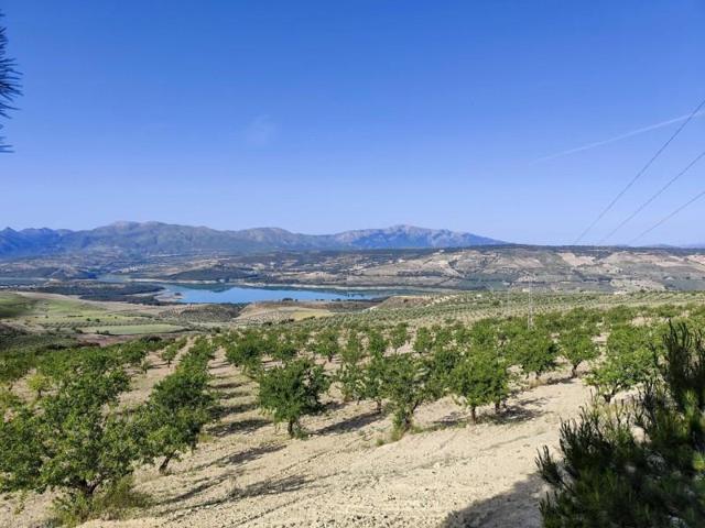 Terreno en venta en Arenas del Rey, Arenas del Rey photo 0