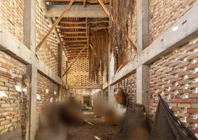 Terreno en venta en Armilla, Avenida de los ogijares photo 0