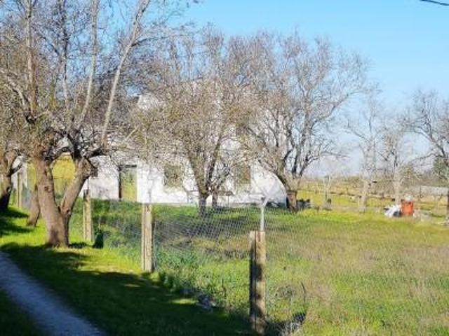 Casa en venta en Casar de Cáceres, Casar De Caceres photo 0